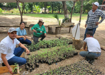 Entregan pilones de hortalizas y semillas para huertos familiares en Zacapa