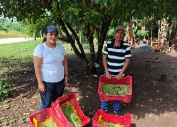 Entregan pilones en Dolores, Petén
