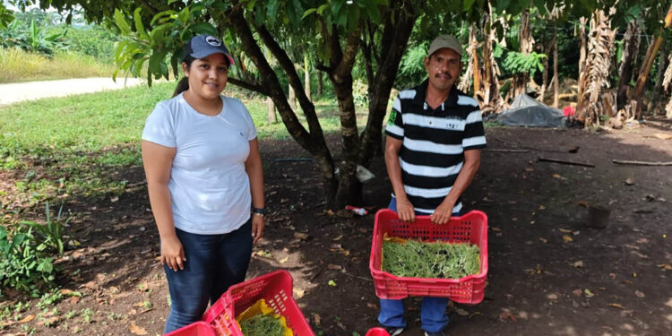 Entregan pilones en Dolores, Petén