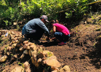 Escolares aprenden agricultura sostenible en huertos pedagógicos