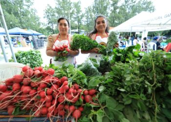 Este año llevamos realizadas 131 Ferias del Agricultor