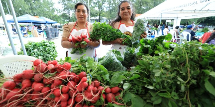Este año llevamos realizadas 131 Ferias del Agricultor