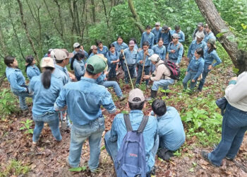 Estudiantes de la ENCA amplían conocimientos en prácticas forestales
