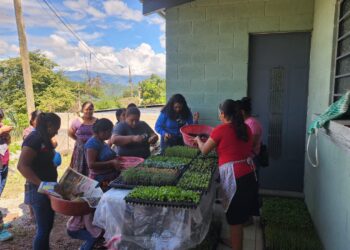 Familias de Chuarrancho beneficiadas con la entrega de pilones de hortalizas