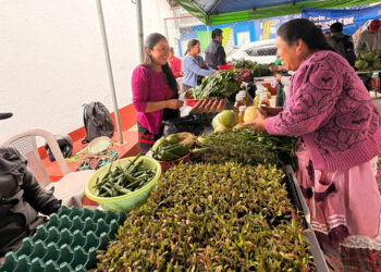 Feria del Agricultor logra promoción de la producción de Totonicapán