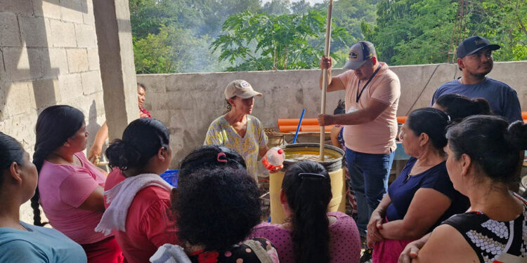 Fortalecen sanidad animal al capacitar a productores de Gualán en profilaxis aviar