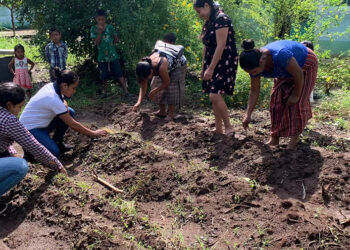 Huertos comunitarios apoyan la seguridad alimentaria en Retalhuleu