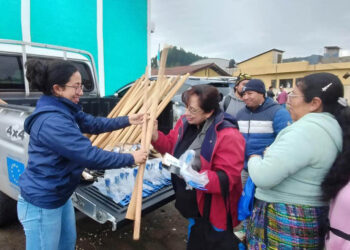Huertos escolares fortalecen la agricultura familiar y la educación alimentaria