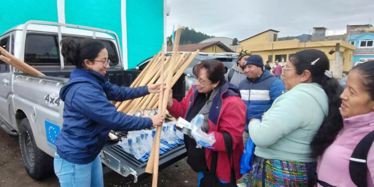 Huertos escolares fortalecen la agricultura familiar y la educación alimentaria