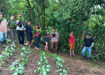 Huertos y acciones por la conservación de las microcuencas benefician a familias zacapanecas