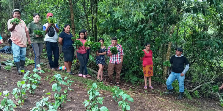 Huertos y acciones por la conservación de las microcuencas benefician a familias zacapanecas