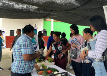 Impulsan a productores locales para que se integren al PAE