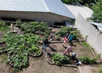 Impulsan huertos pedagógicos y buena alimentación en escuelas de Zacapa