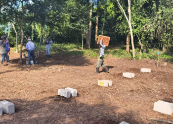 Impulsan la formación apícola en Petén