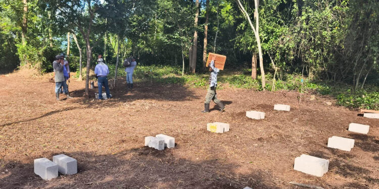 Impulsan la formación apícola en Petén