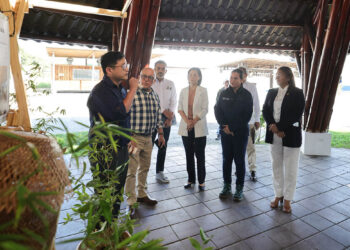 Impulsan sostenibilidad y desarrollo de la agrocadena del bambú