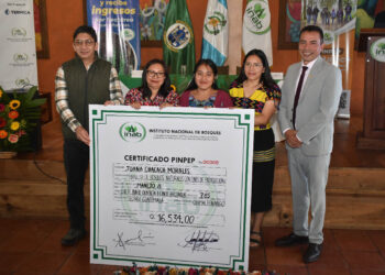 Incentivos forestales promueven conservación de los bosques