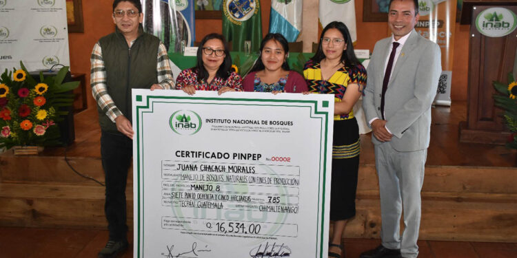 Incentivos forestales promueven conservación de los bosques