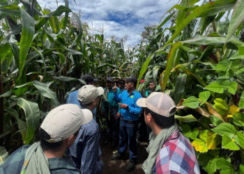 Instruyen en transferencia de tecnología a integrantes del CADER de Quetzaltenango