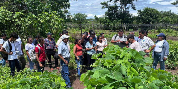 Intercambio de experiencias fortalece el Sistema de Extensión Rural
