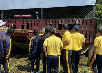 Jóvenes conocen el potencial de la agricultura en visita a la Granja Integral Agropecuaria