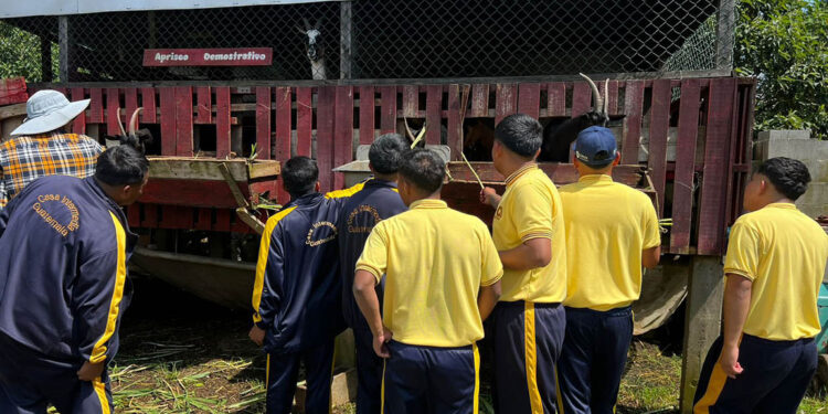 Jóvenes conocen el potencial de la agricultura en visita a la Granja Integral Agropecuaria