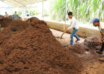 La Agricultura Generativa
