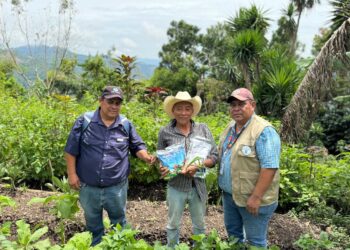 La Palmilla, ejemplo de agricultura familiar
