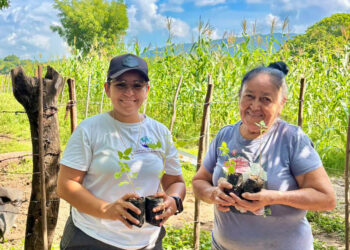 Los huertos comunales optimizan seguridad alimentaria en Zacapa