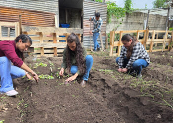 Los huertos demostrativos son una herramienta para el desarrollo agrícola