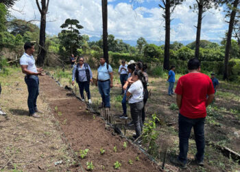 Más de 900 centros educativos fortalecen el aprendizaje con huertos escolares