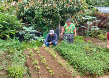 Más de 92 mil familias recibirán alimentos por acciones