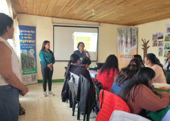 Mujeres rurales de Quiché participan en el desarrollo agropecuario