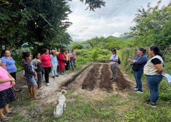 Mujeres rurales fortalecen rol en la agricultura familiar