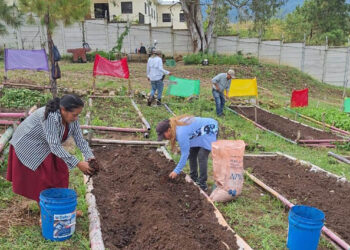 Nueva siembre fortalece huerto comunal en Esquipulas