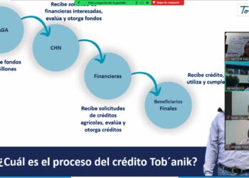 Numerosa participación en el Webinar “Conociendo el Crédito Tobanik