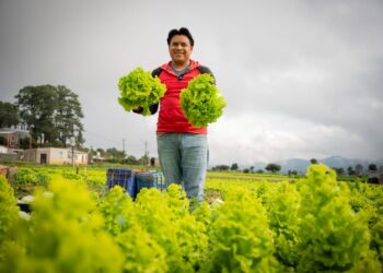 Presentarán oportunidades de inversión para fortalecer la agricultura y el desarrollo