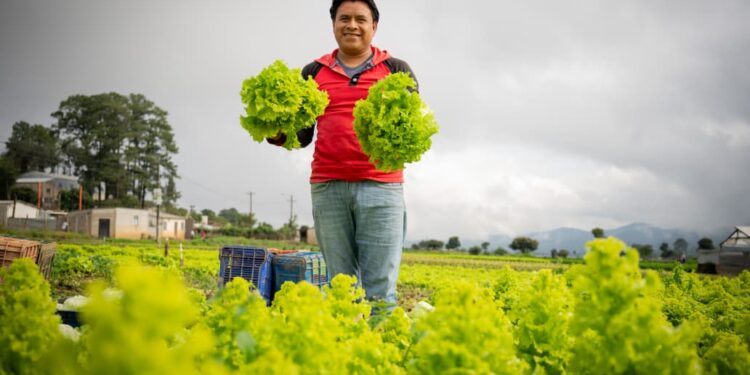 Presentarán oportunidades de inversión para fortalecer la agricultura y el desarrollo