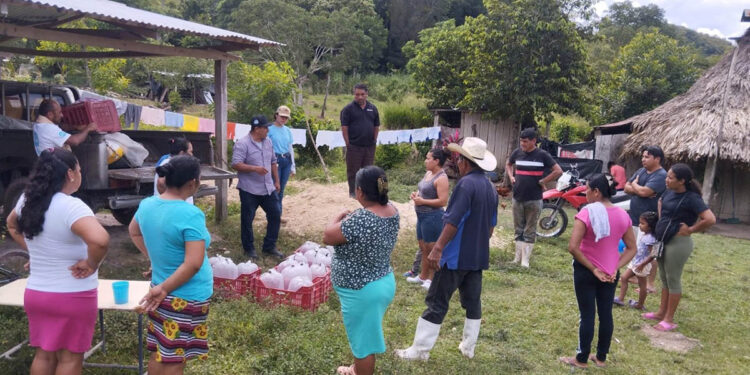 Productores peteneros reciben más de 200 mil alevines de tilapia