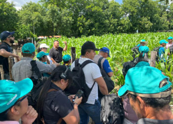 Productores se preparan para enfrentar el cambio climático