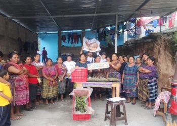 Promueven la seguridad alimentaria en el Día Mundial de la Alimentación