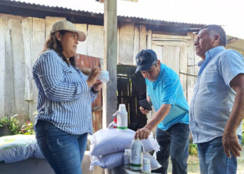 Proyectos agrícolas fortalecen la producción de frijol en San Andrés Petén