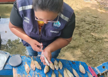 Realizan monitoreo biológico pesquero en distintos puntos del país