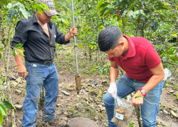 Realizan muestreo de suelo para determinar fertilidad