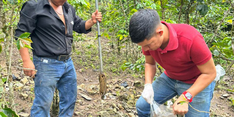 Realizan muestreo de suelo para determinar fertilidad