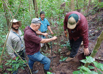Realizan muestreo y recolección de suelos en Zacapa para análisis de fertilidad