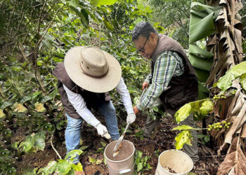 Realizan toma de muestras para mapa de fertilidad de suelos