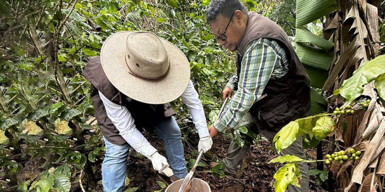 Realizan toma de muestras para mapa de fertilidad de suelos