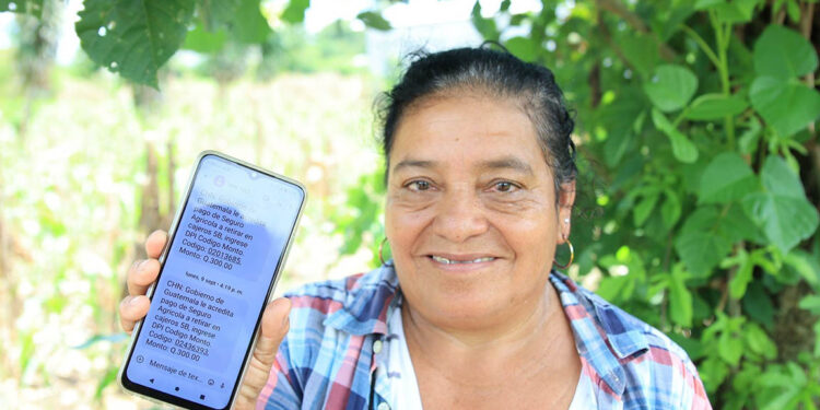 Recomendaciones para hacer efectivo su Seguro Agropecuario