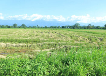 Recomendaciones preventivas por inclemencias climáticas